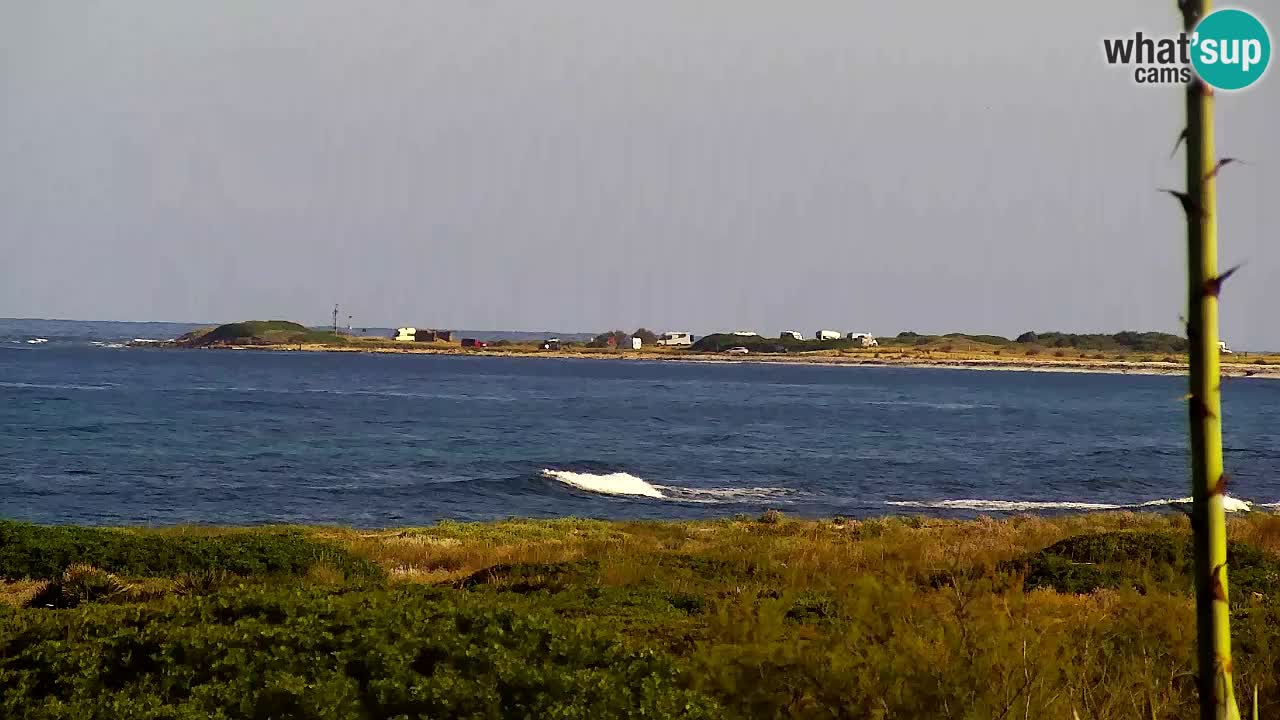 Webcam Is Arutas spiaggia | Oristano – Sardegna