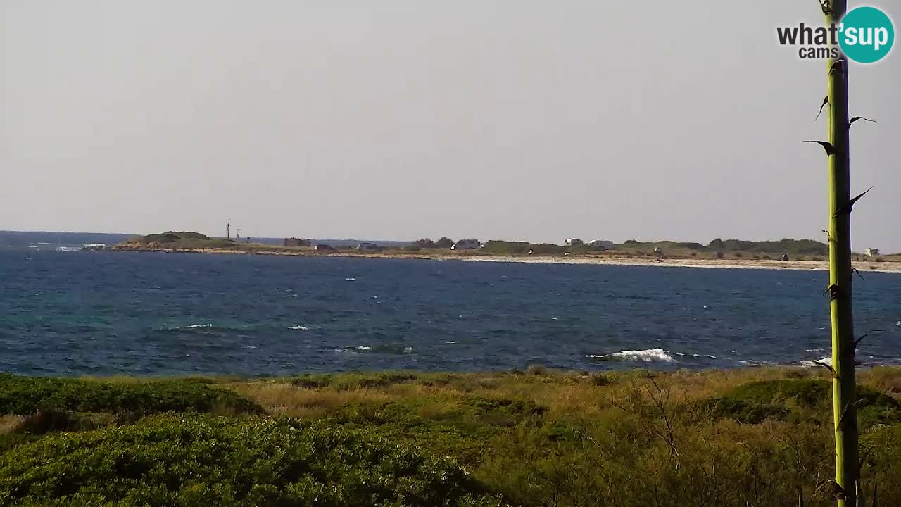 Is Arutas livecam plage | Oristano – Sardaigne