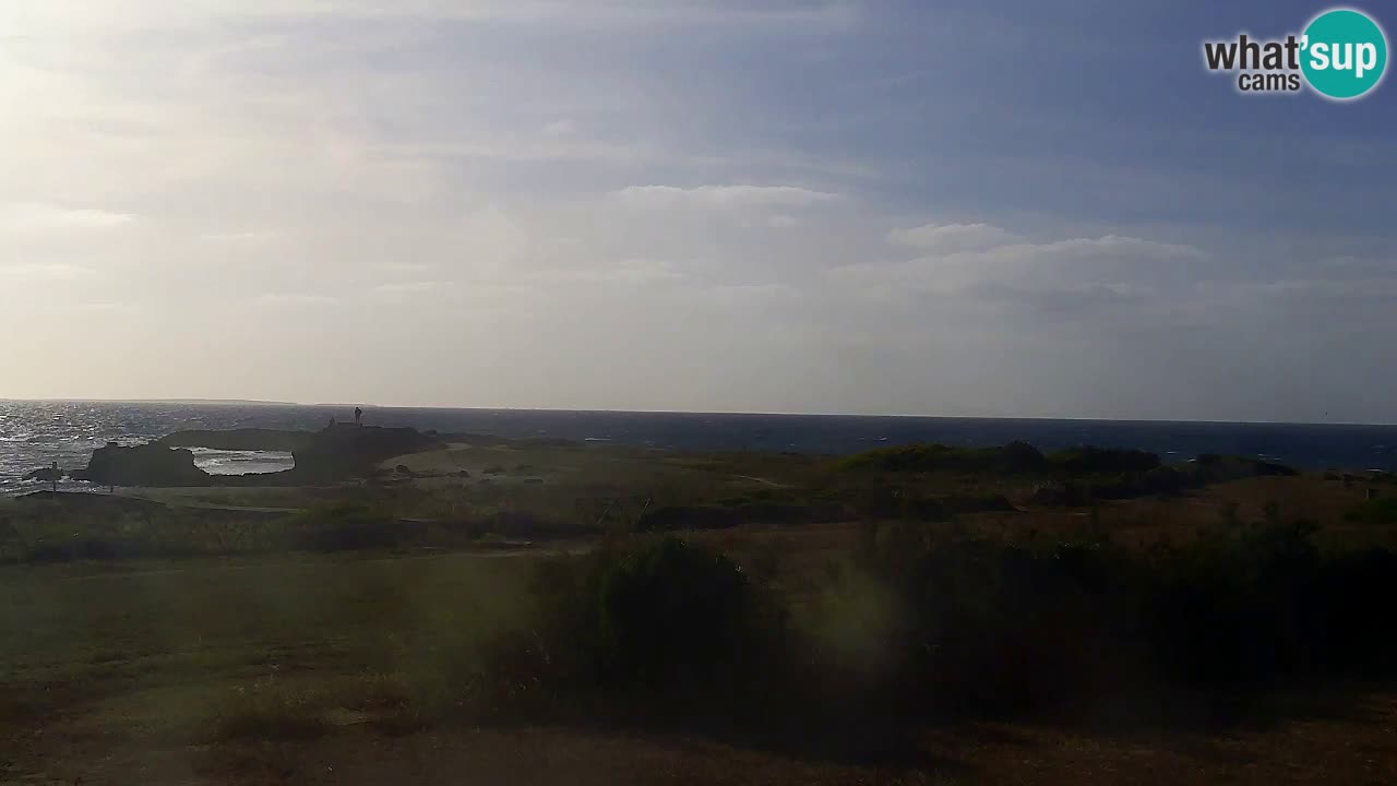 Is Arutas livecam plage | Oristano – Sardaigne