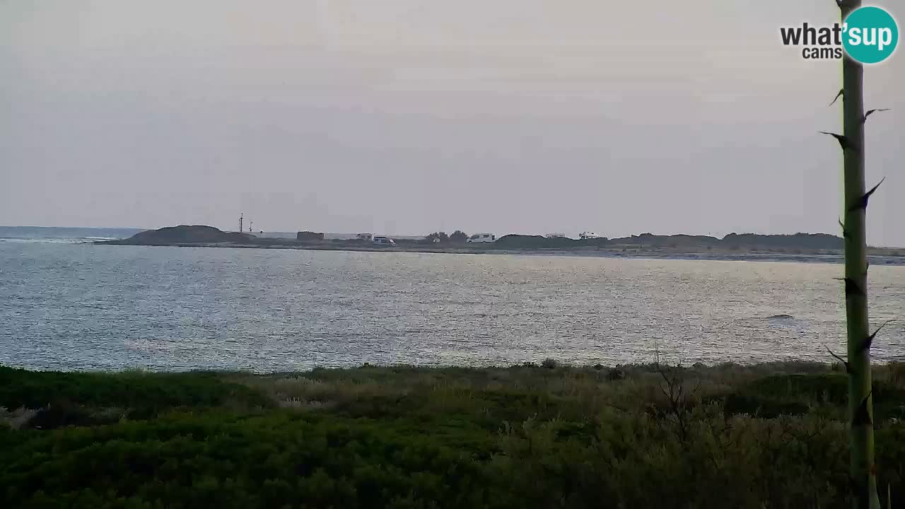 Is Arutas livecam plage | Oristano – Sardaigne