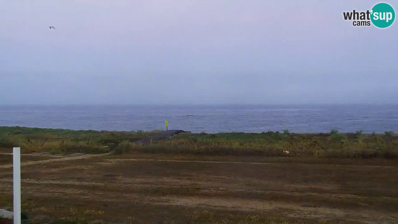Strand Is Arutas webcam | Oristano – Sardinien