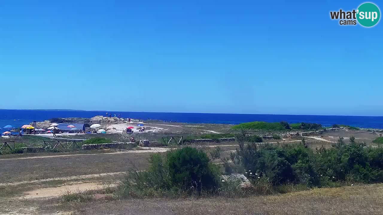 Strand Is Arutas webcam | Oristano – Sardinien
