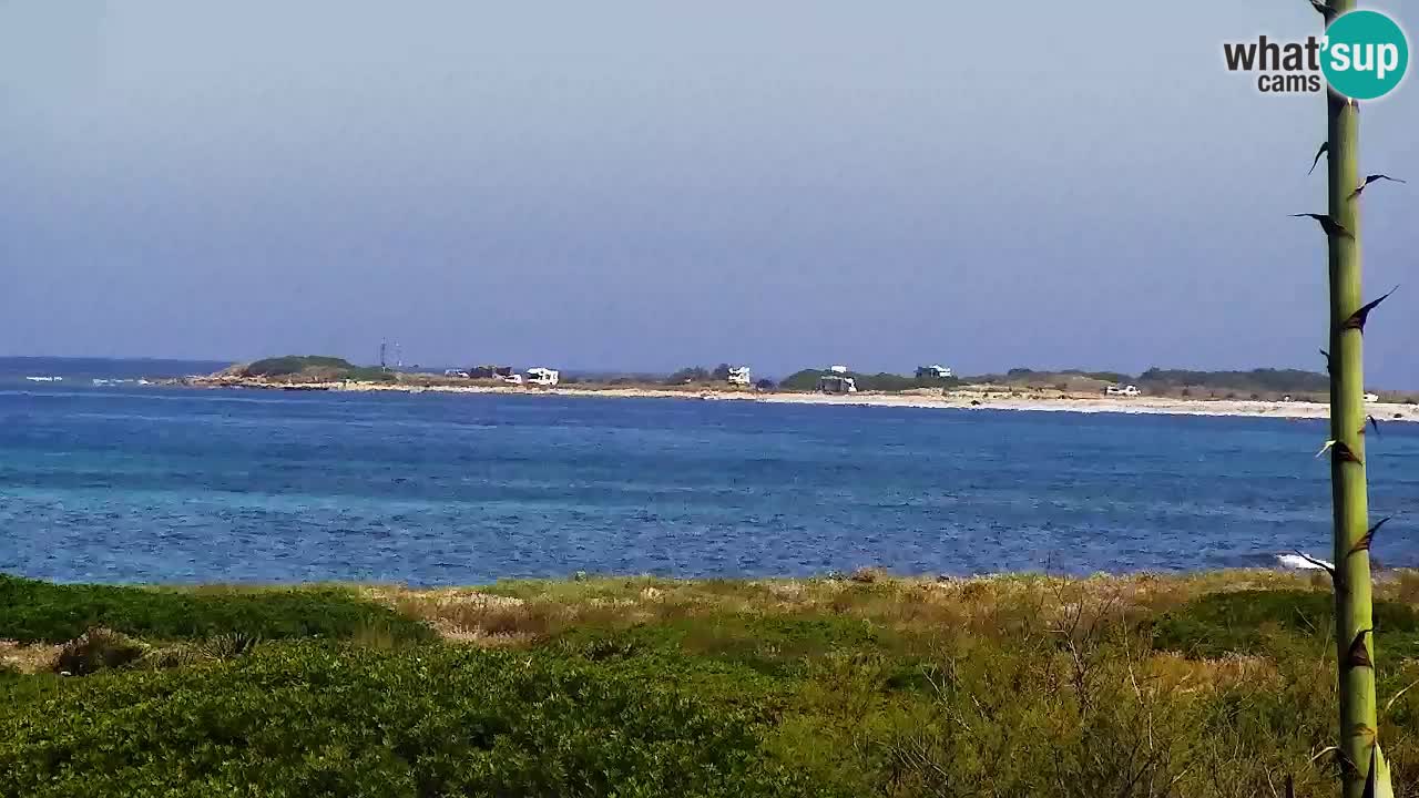 Is Arutas livecam plage | Oristano – Sardaigne