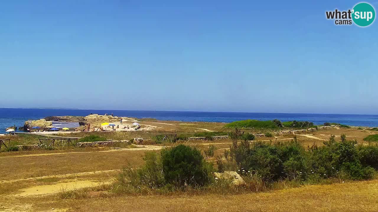 Is Arutas camera en vivo | Oristano – Cerdeña
