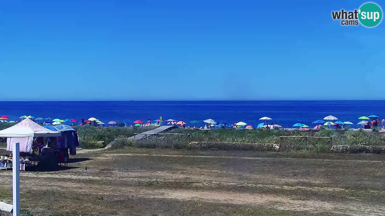 Is Arutas camera en vivo | Oristano – Cerdeña