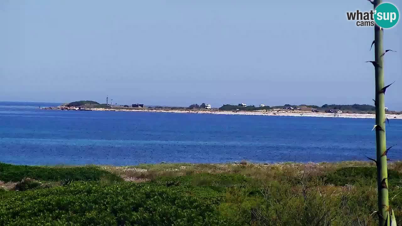 Is Arutas camera en vivo | Oristano – Cerdeña