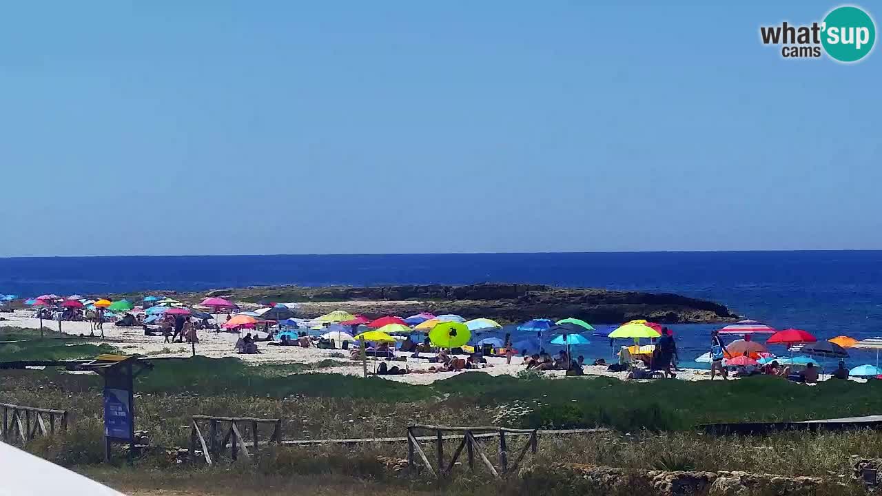 Is Arutas camera en vivo | Oristano – Cerdeña