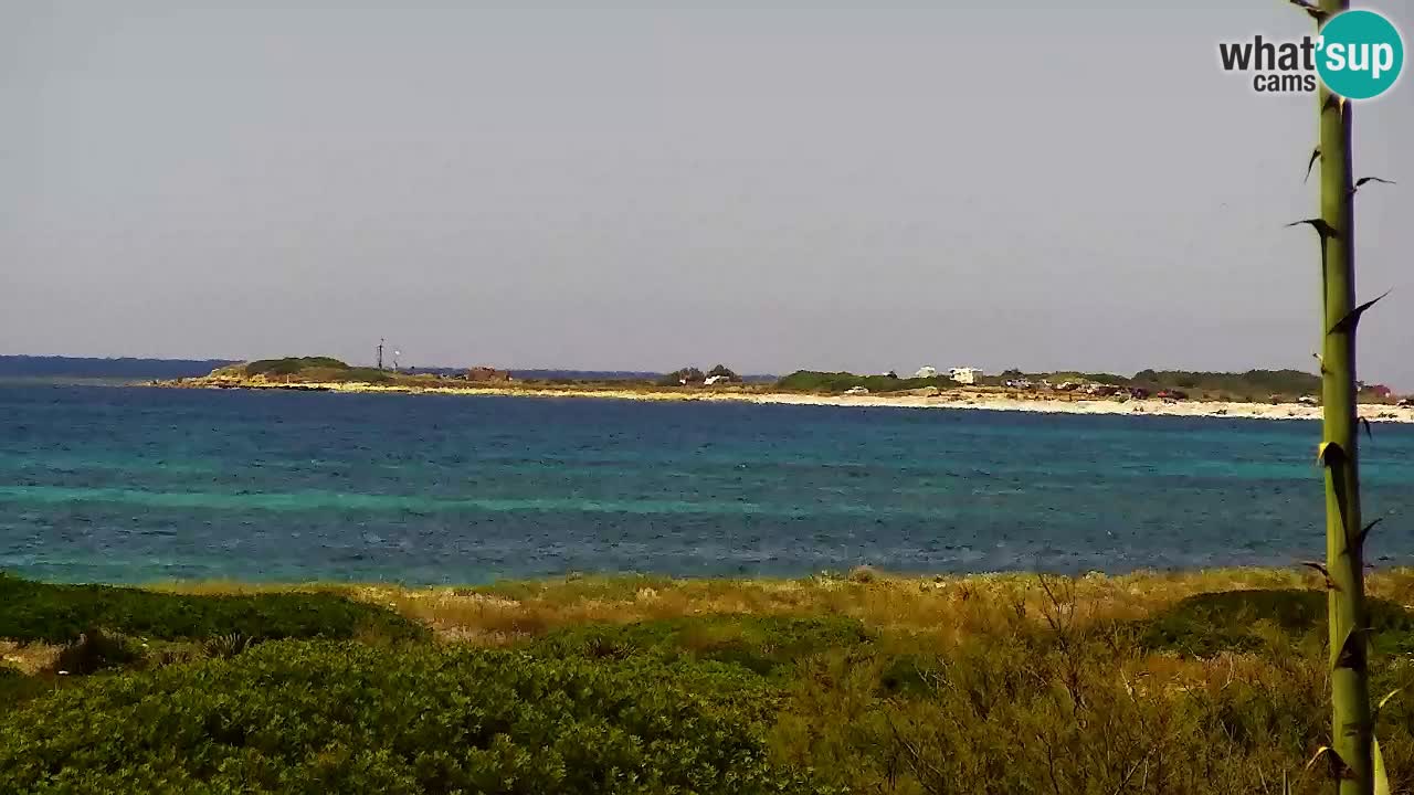 Web kamera Is Arutas plaža | Oristano – Sardinija