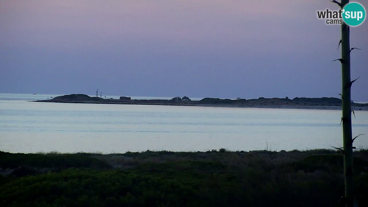 Webcam Is Arutas spiaggia | Oristano – Sardegna