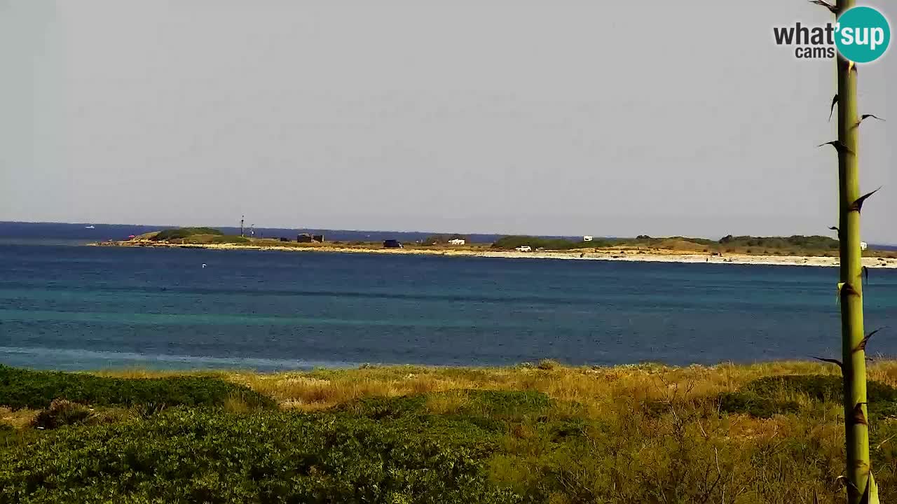 Plaža Is Arutas kamera | Oristano – Sardinija