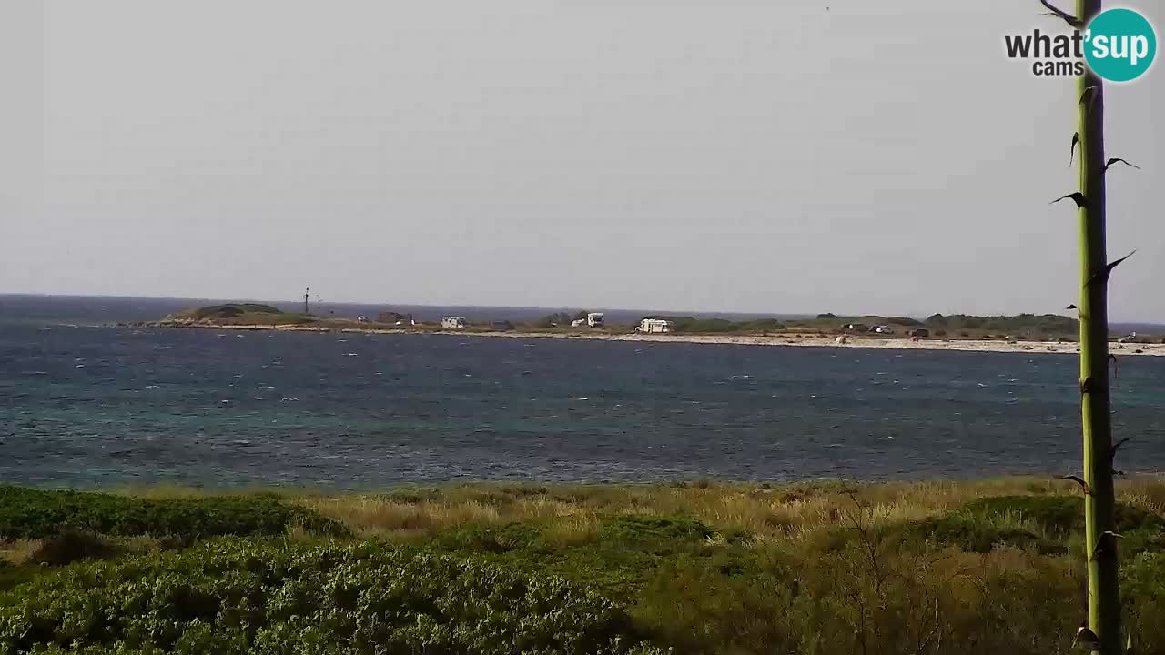 Webcam Is Arutas spiaggia | Oristano – Sardegna