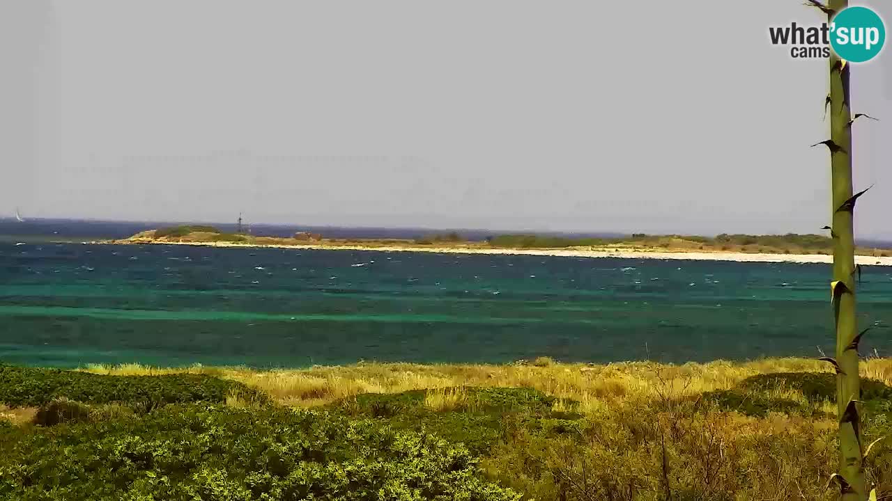 Is Arutas livecam plage | Oristano – Sardaigne