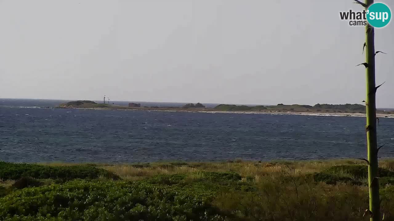 Web kamera Is Arutas plaža | Oristano – Sardinija