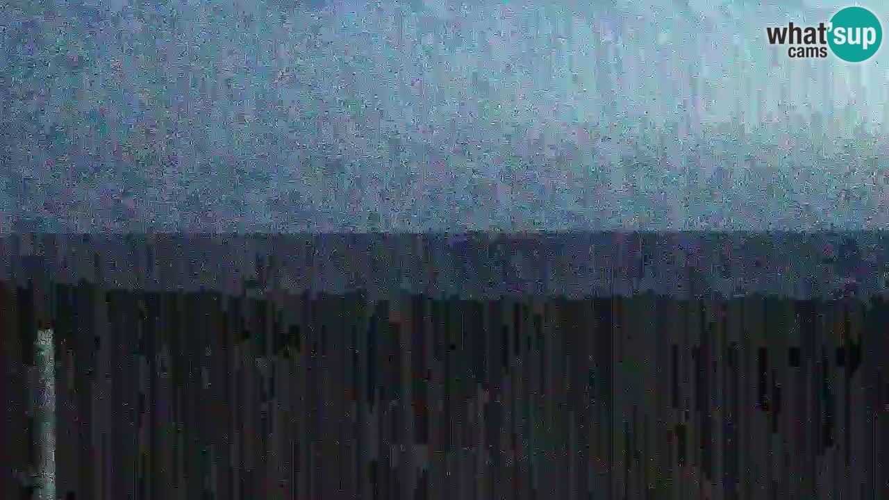 Strand Is Arutas webcam | Oristano – Sardinien