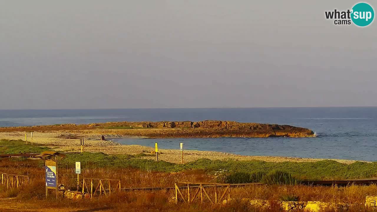 Strand Is Arutas webcam | Oristano – Sardinien