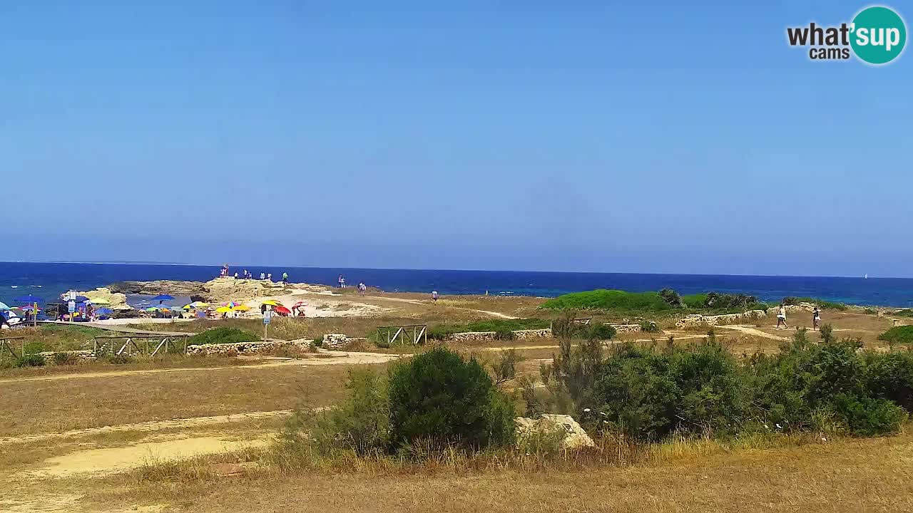 Is Arutas camera en vivo | Oristano – Cerdeña
