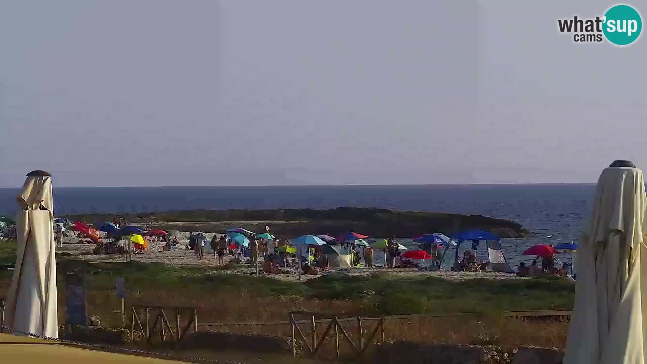 Is Arutas webcam beach | Oristano – Sardinia
