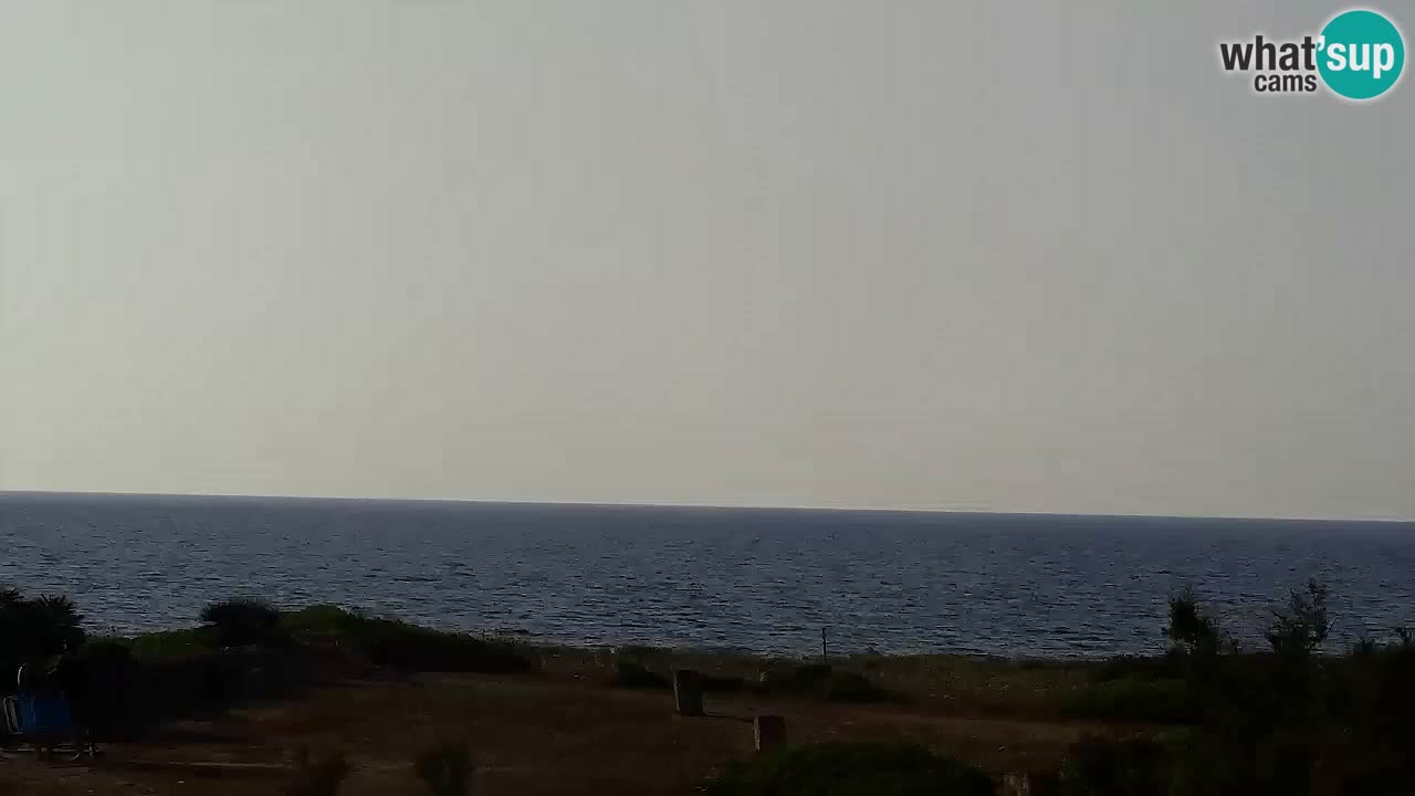 Is Arutas webcam beach | Oristano – Sardinia