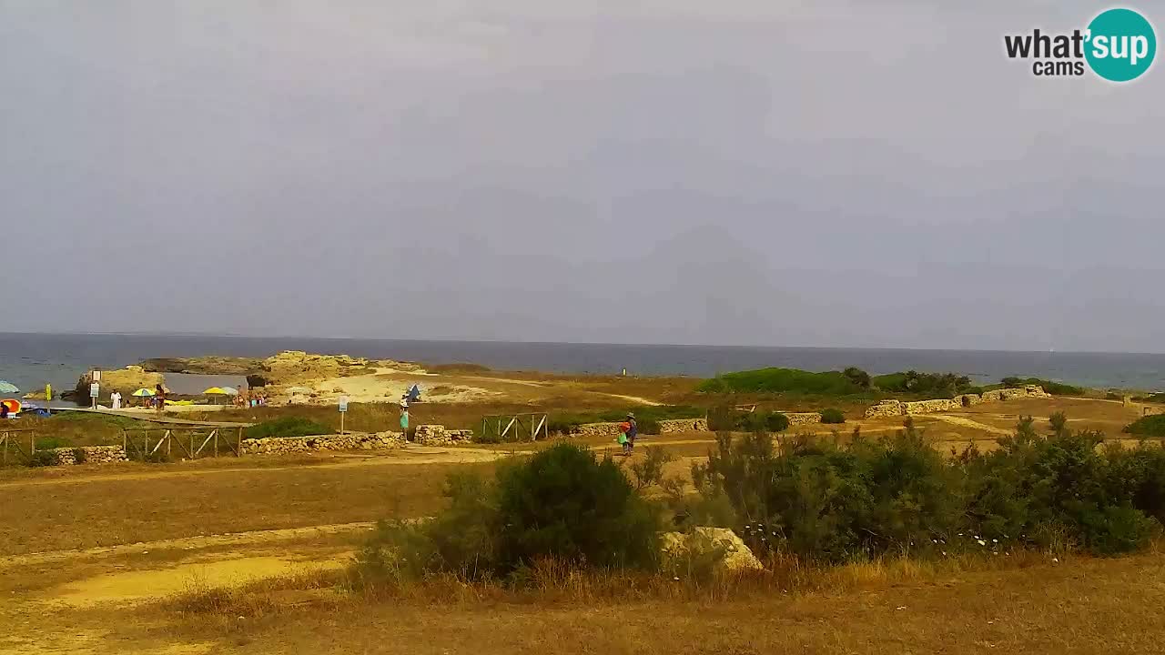 Is Arutas webcam beach | Oristano – Sardinia