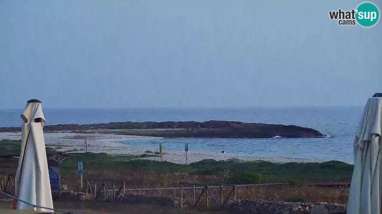 Webcam Is Arutas spiaggia | Oristano – Sardegna