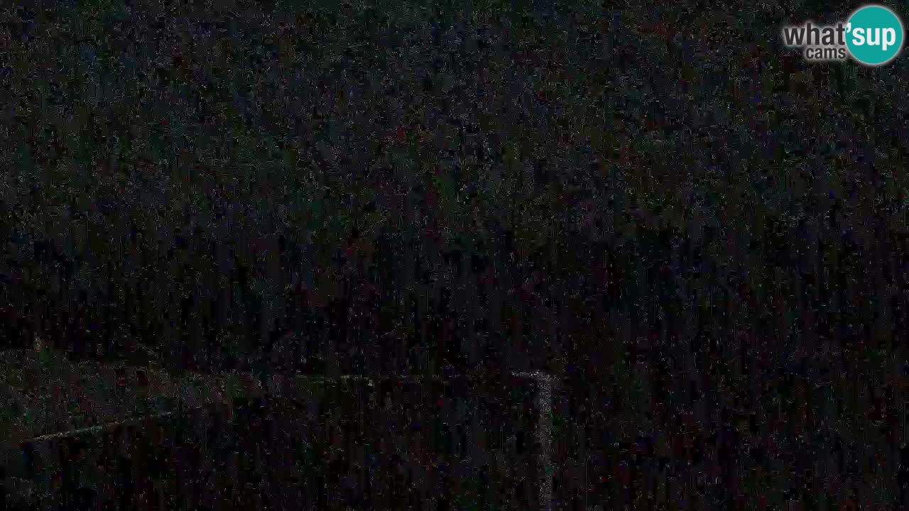 Is Arutas camera en vivo | Oristano – Cerdeña