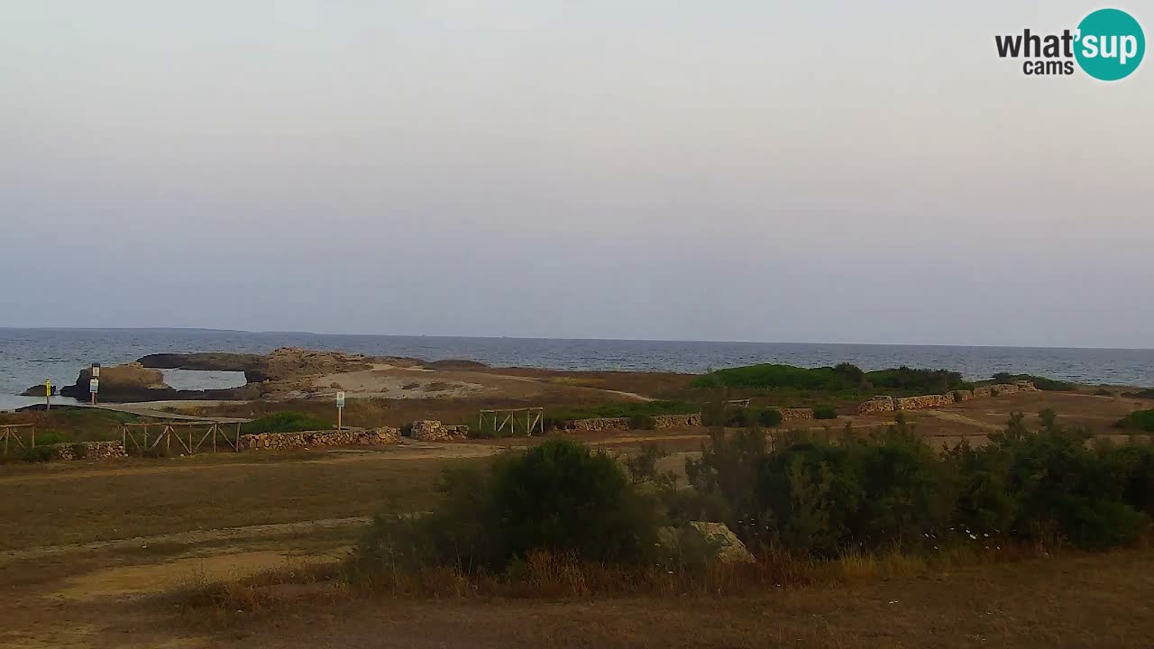 Is Arutas webcam beach | Oristano – Sardinia