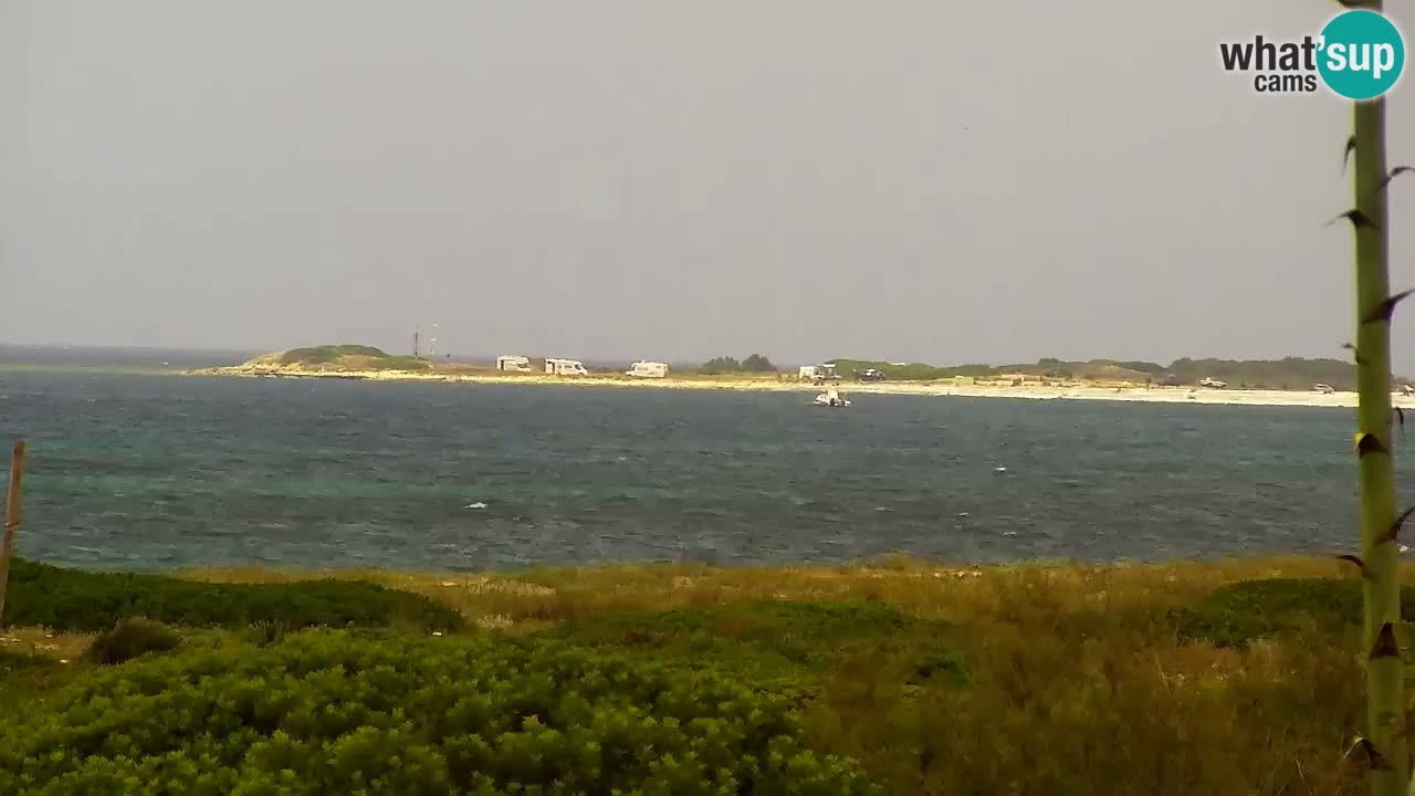 Web kamera Is Arutas plaža | Oristano – Sardinija
