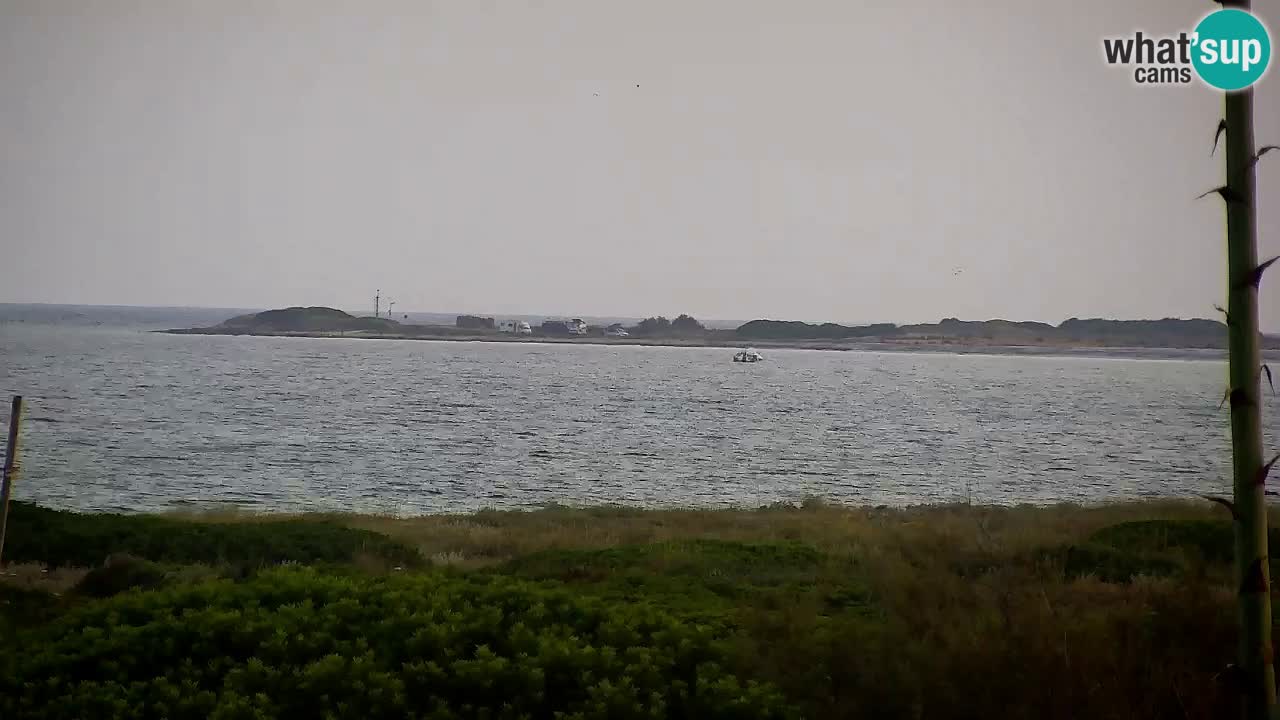 Webcam Is Arutas spiaggia | Oristano – Sardegna