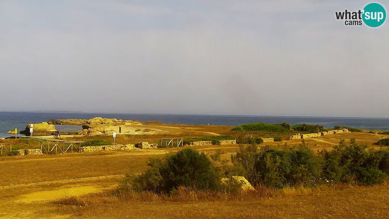 Strand Is Arutas webcam | Oristano – Sardinien