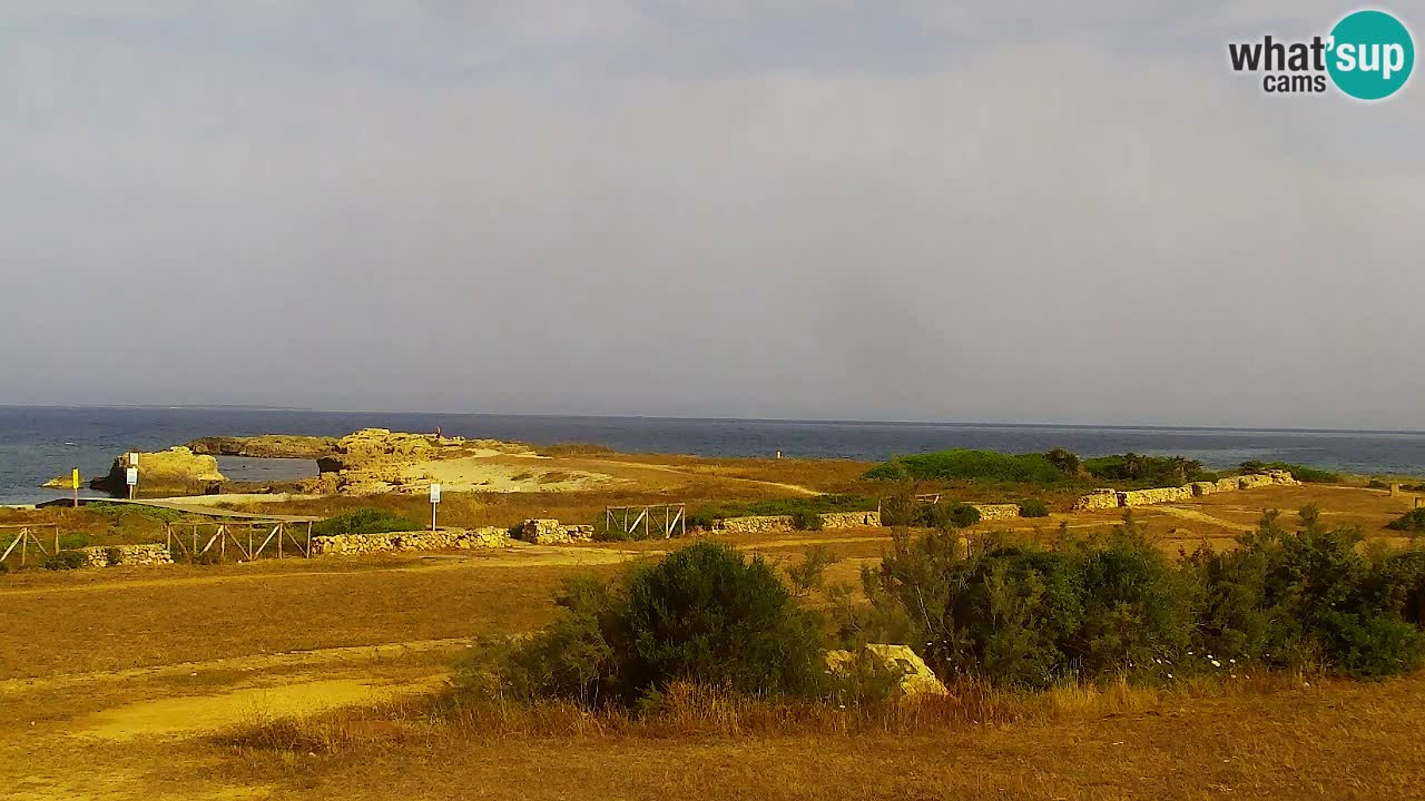 Strand Is Arutas webcam | Oristano – Sardinien