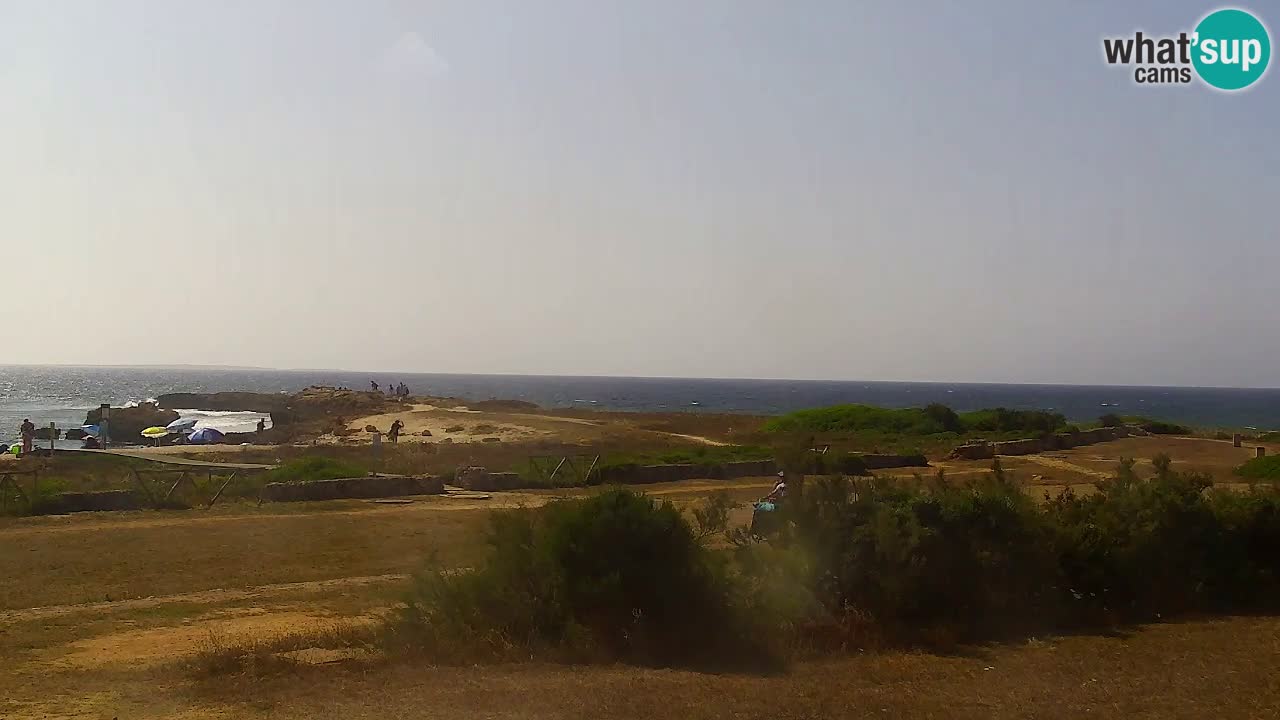 Is Arutas camera en vivo | Oristano – Cerdeña