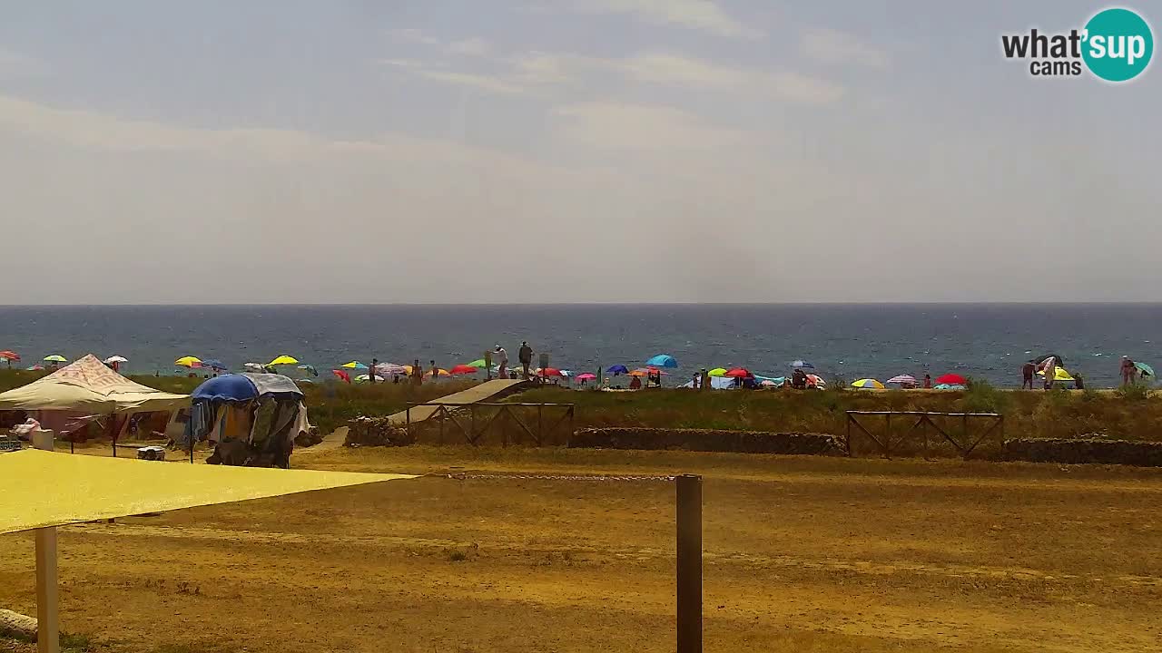 Is Arutas camera en vivo | Oristano – Cerdeña