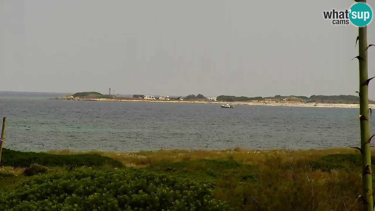 Is Arutas livecam plage | Oristano – Sardaigne