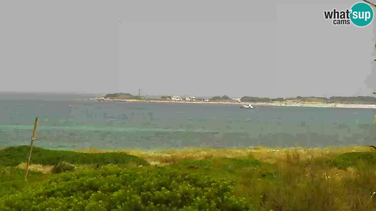 Webcam Is Arutas spiaggia | Oristano – Sardegna