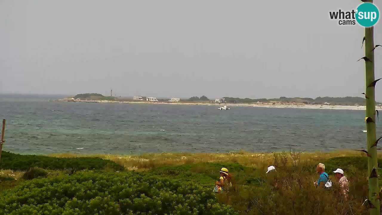 Web kamera Is Arutas plaža | Oristano – Sardinija
