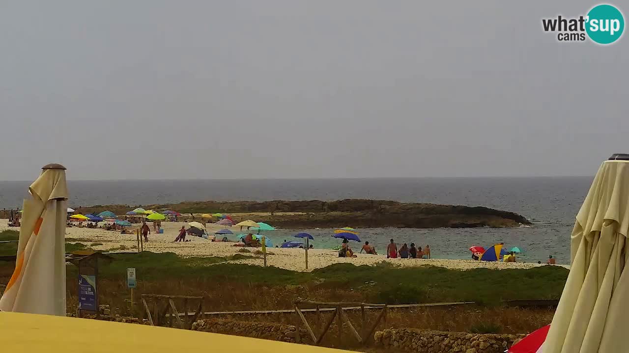 Plaža Is Arutas kamera | Oristano – Sardinija