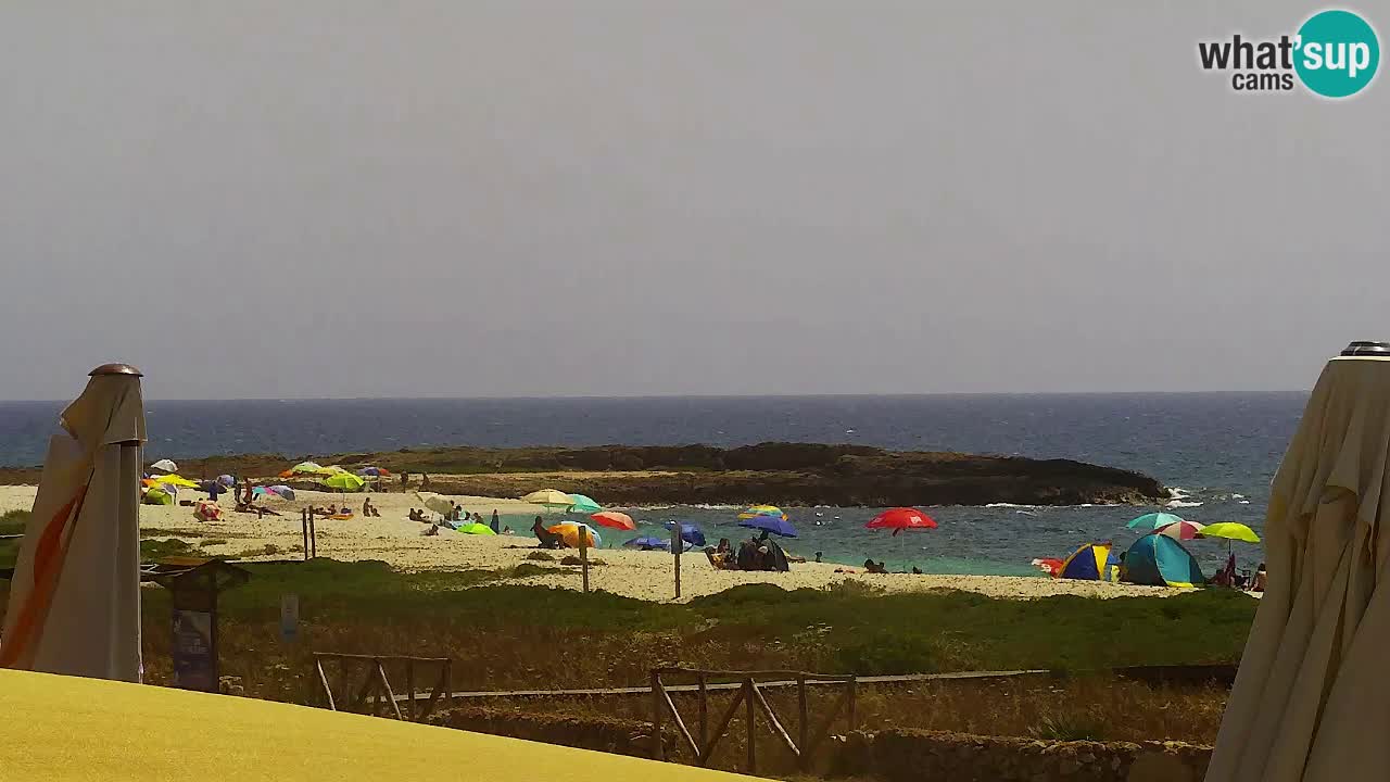 Is Arutas webcam beach | Oristano – Sardinia
