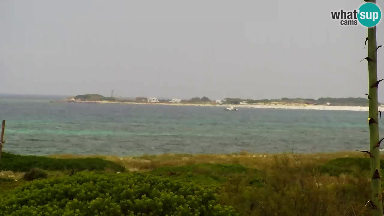 Plaža Is Arutas kamera | Oristano – Sardinija
