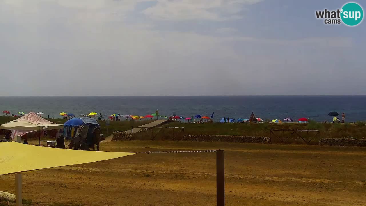 Is Arutas camera en vivo | Oristano – Cerdeña