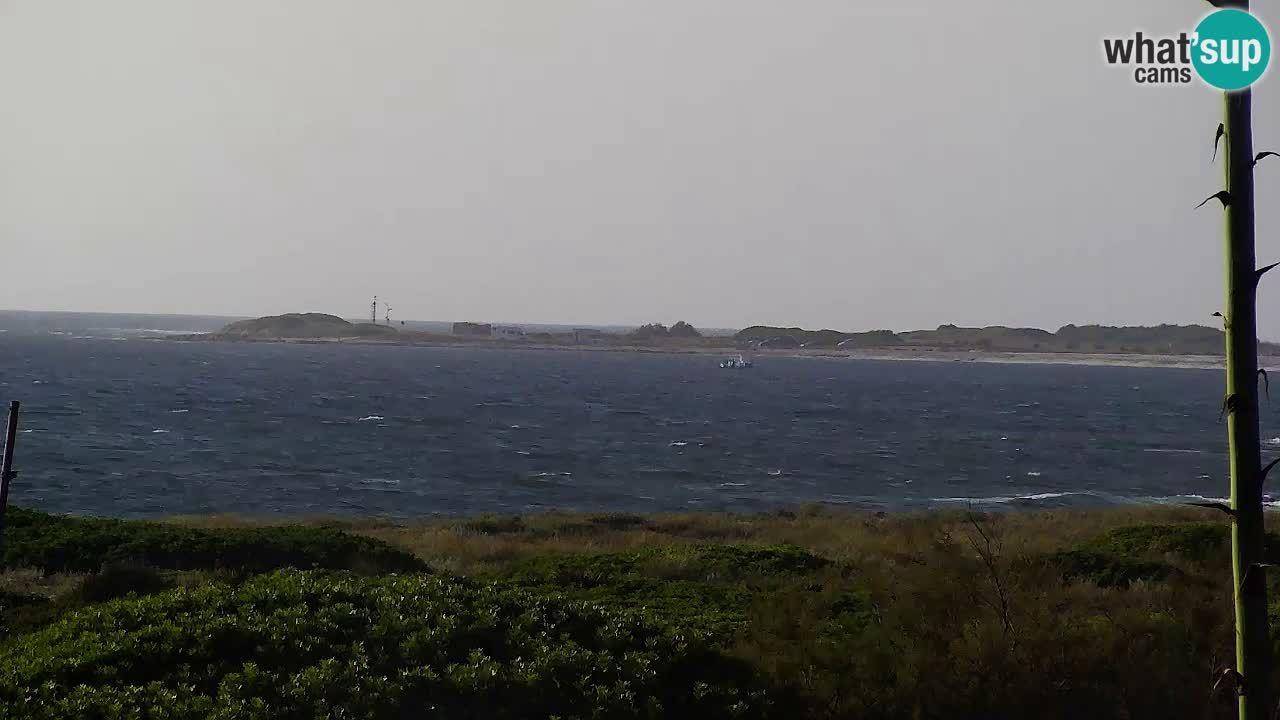 Is Arutas webcam beach | Oristano – Sardinia