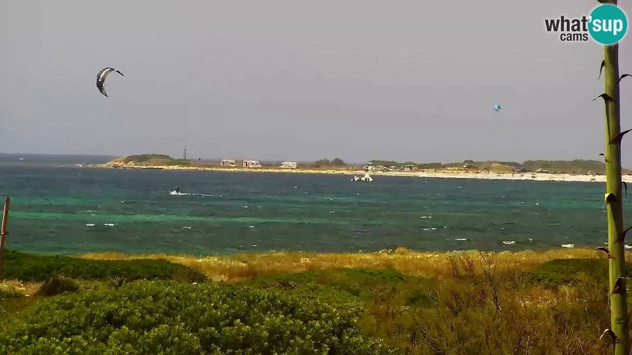 Web kamera Is Arutas plaža | Oristano – Sardinija