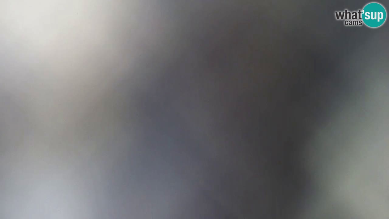 Is Arutas camera en vivo | Oristano – Cerdeña