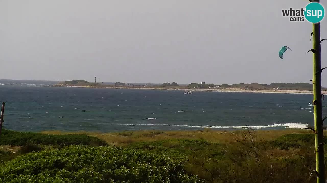 Is Arutas webcam beach | Oristano – Sardinia