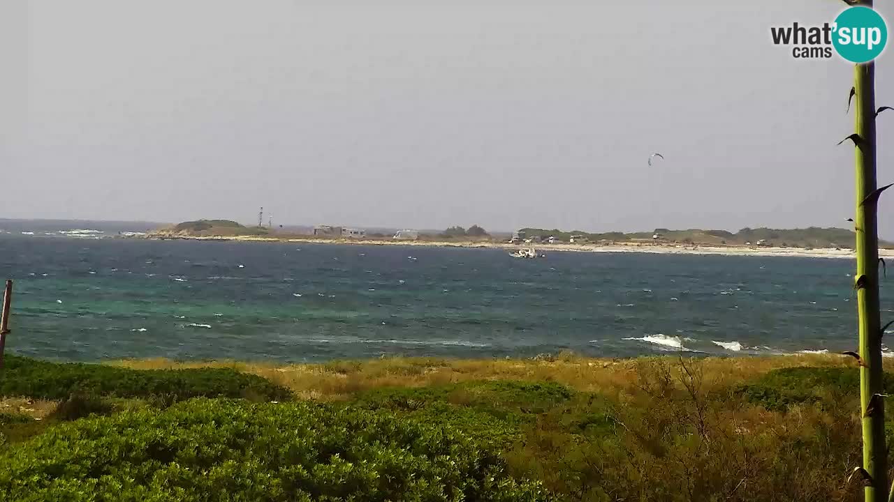 Is Arutas camera en vivo | Oristano – Cerdeña