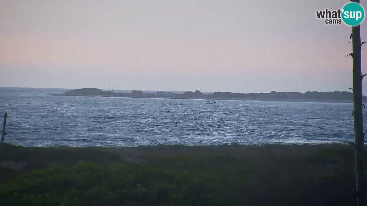 Is Arutas livecam plage | Oristano – Sardaigne