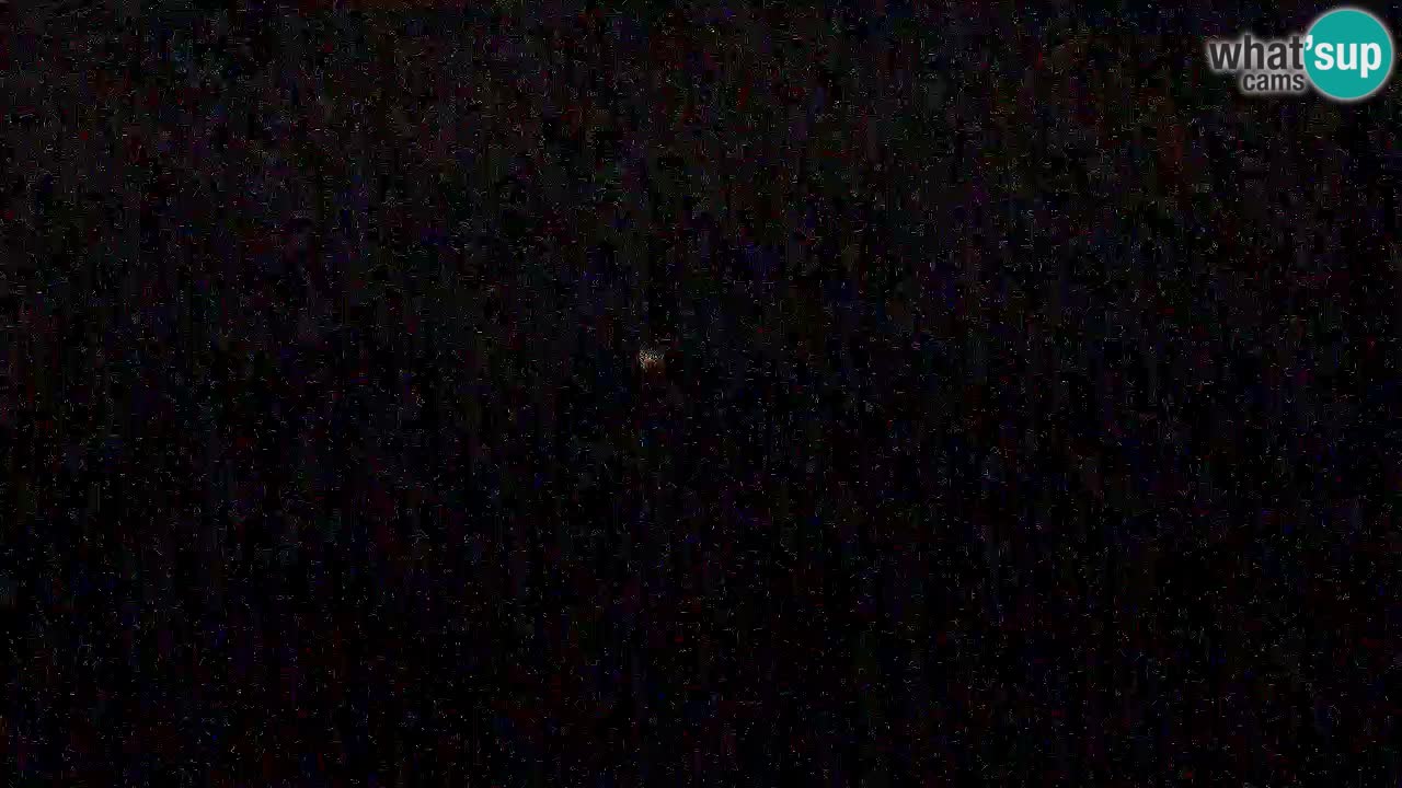 Is Arutas camera en vivo | Oristano – Cerdeña