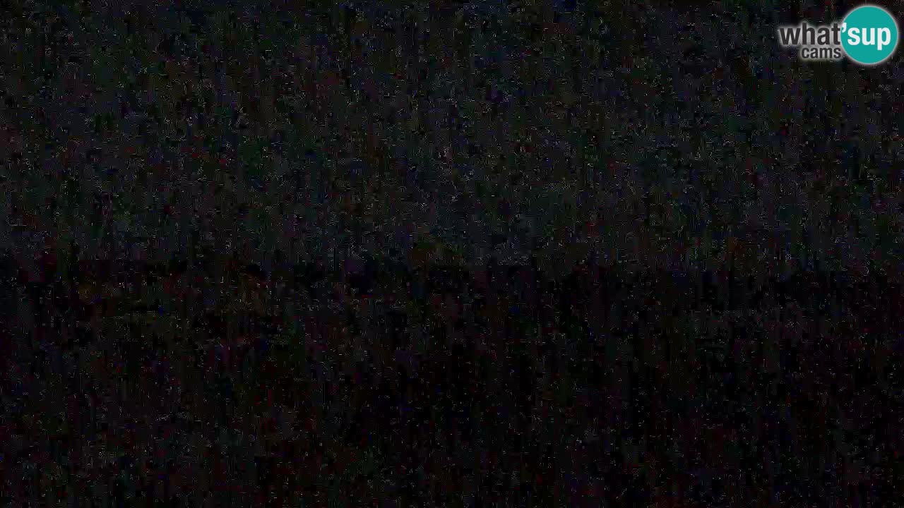 Is Arutas camera en vivo | Oristano – Cerdeña