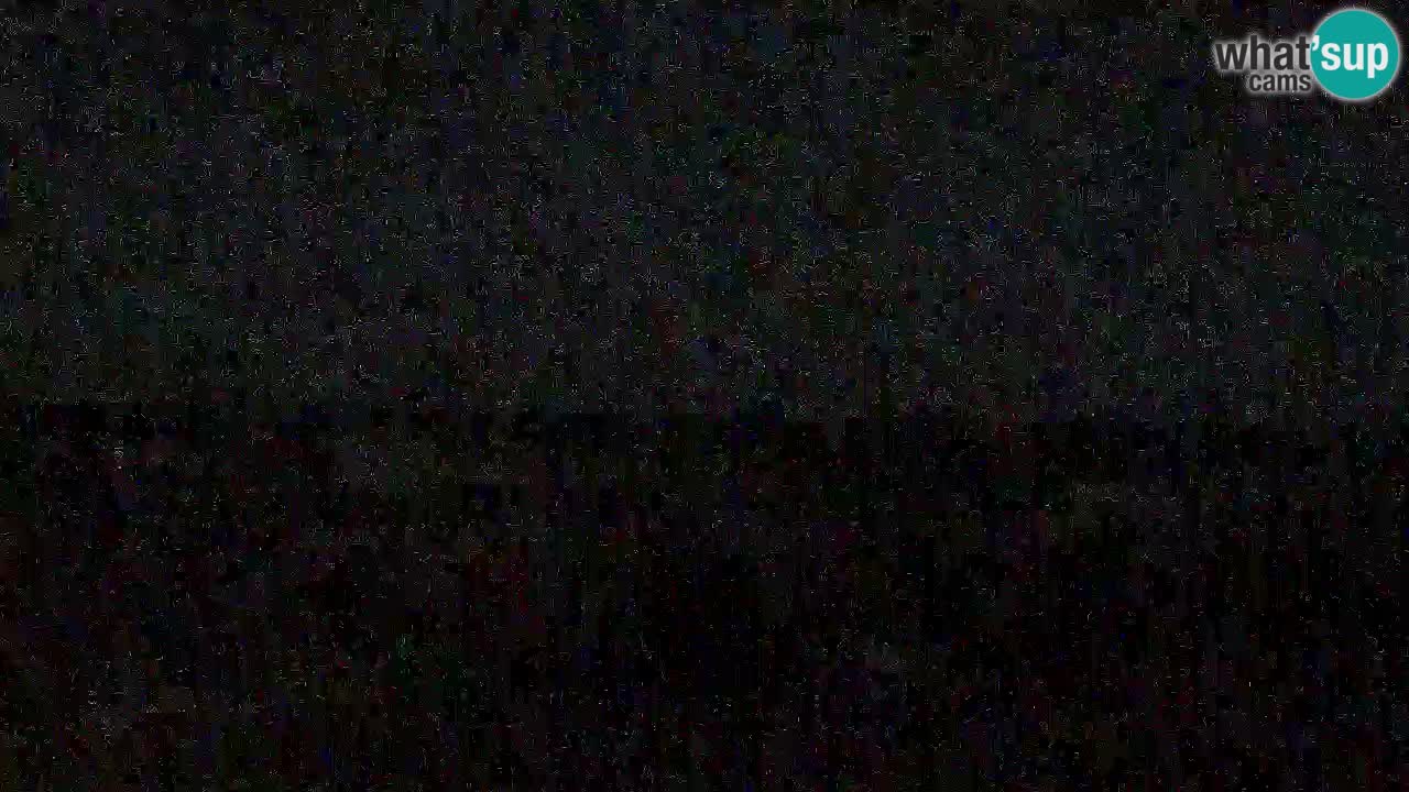 Is Arutas camera en vivo | Oristano – Cerdeña