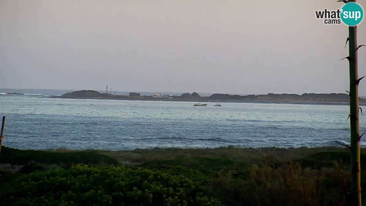 Is Arutas webcam beach | Oristano – Sardinia