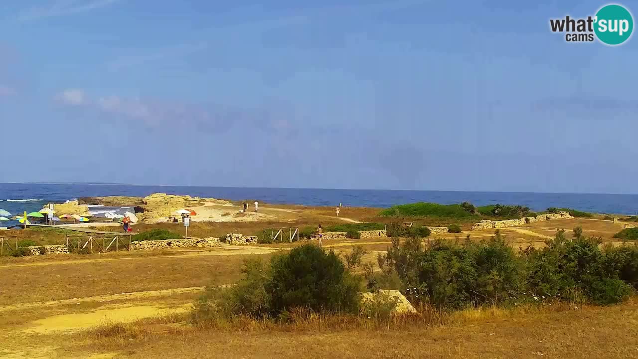 Is Arutas webcam beach | Oristano – Sardinia